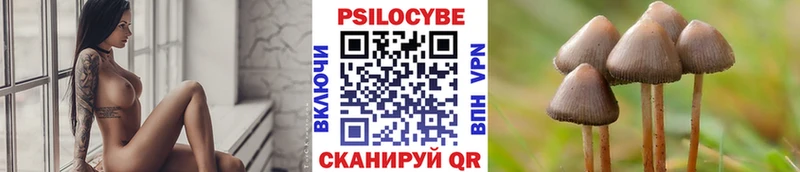 продажа наркотиков Безенчук Псилоцибиновые грибы Psilocybe